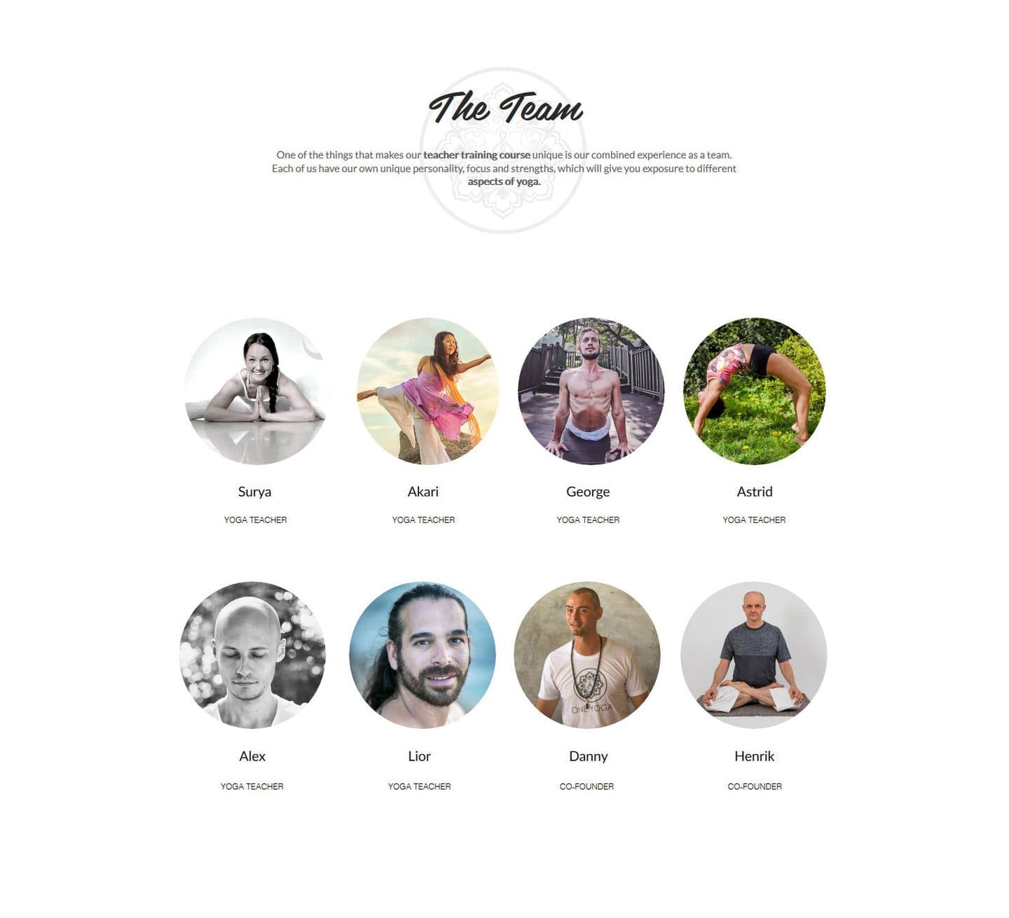The Team: eight round photos with names and roles, including co-founders Danny and Henrik.